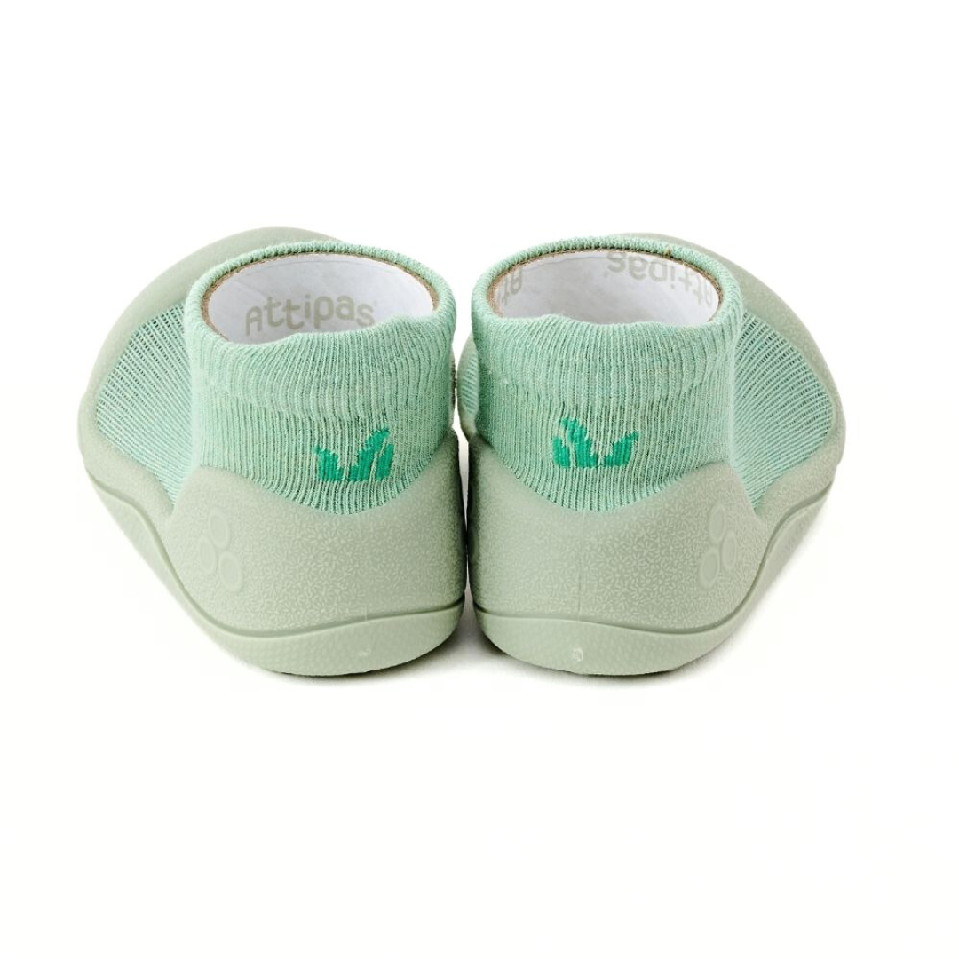 ATTIPAS TORTUGA VERDE