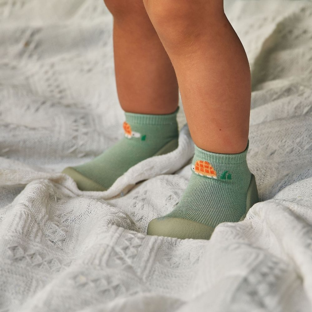 ATTIPAS TORTUGA VERDE