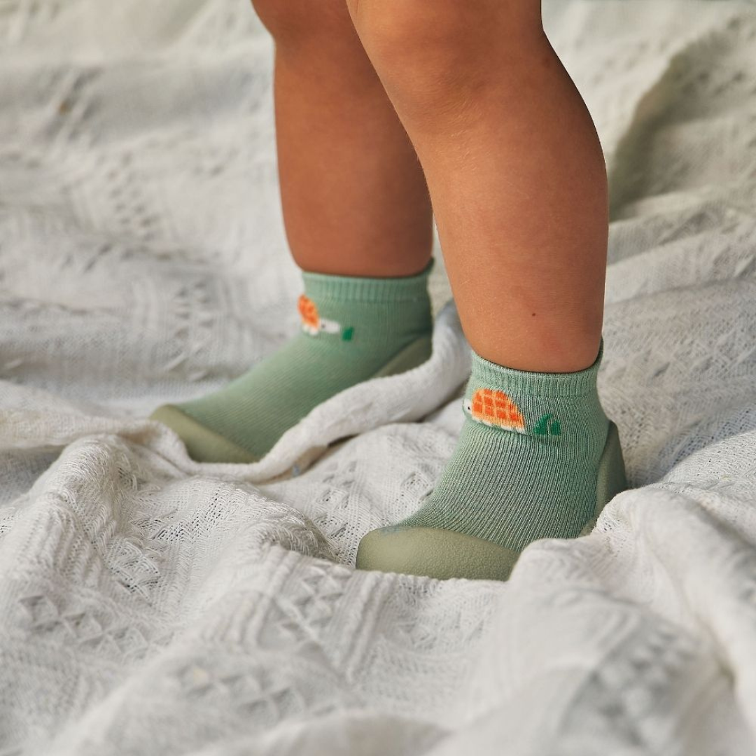 ATTIPAS TORTUGA VERDE